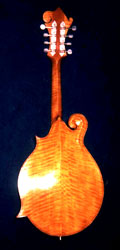 F style mandolin